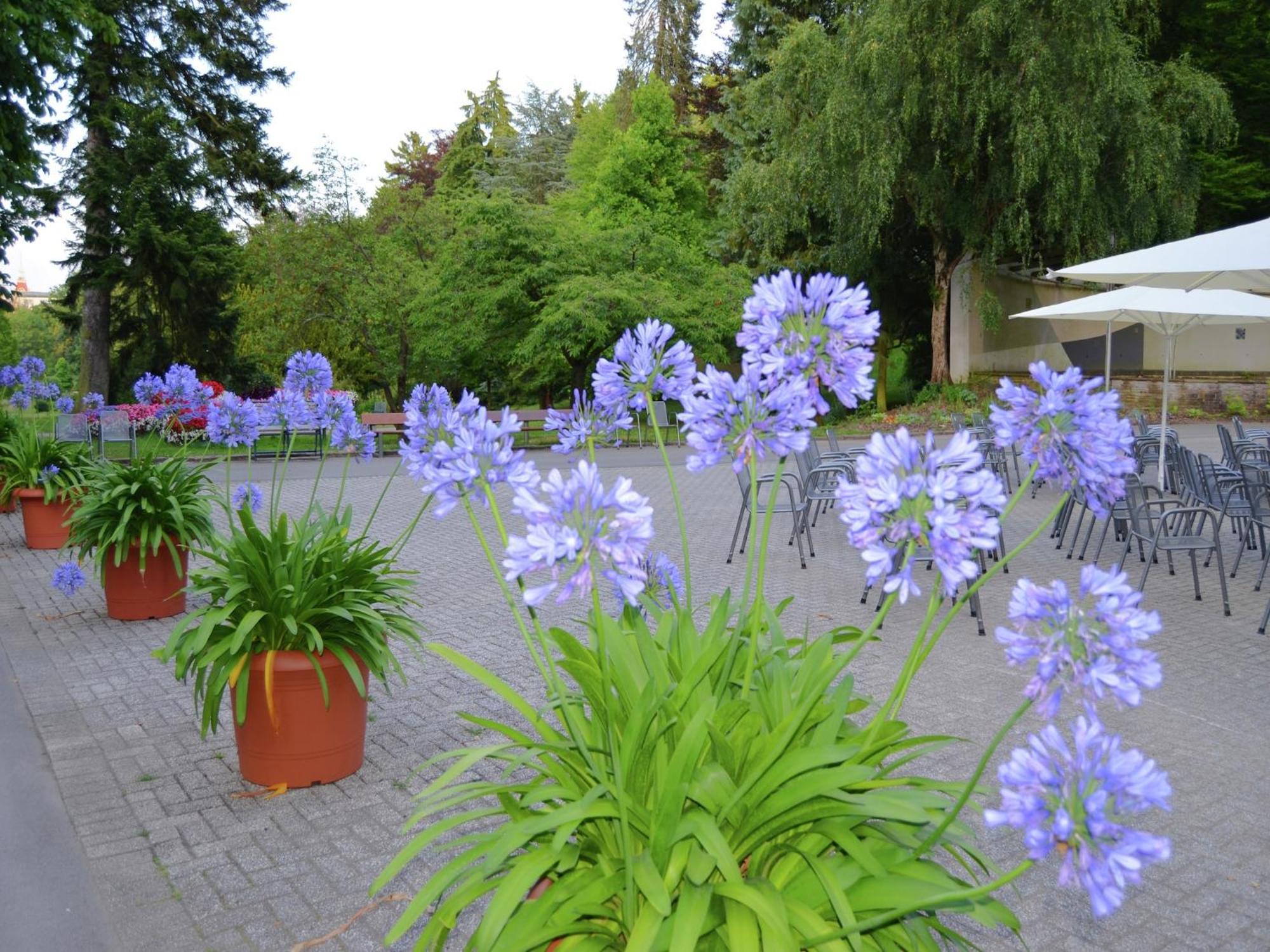 Charming Apartment With Private Terrace Bad Wildungen Bagian luar foto